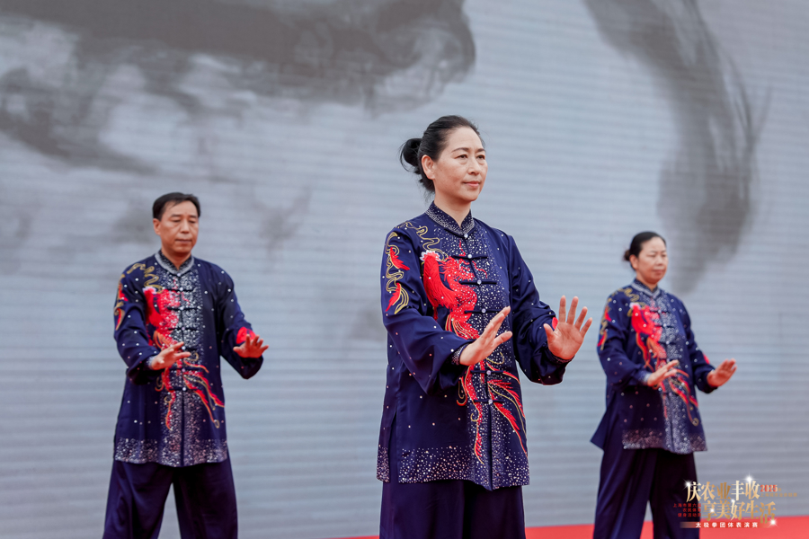 验登合一, 太极拳在强, 博览中华 验登合一, 太极拳在强, 博览中华
