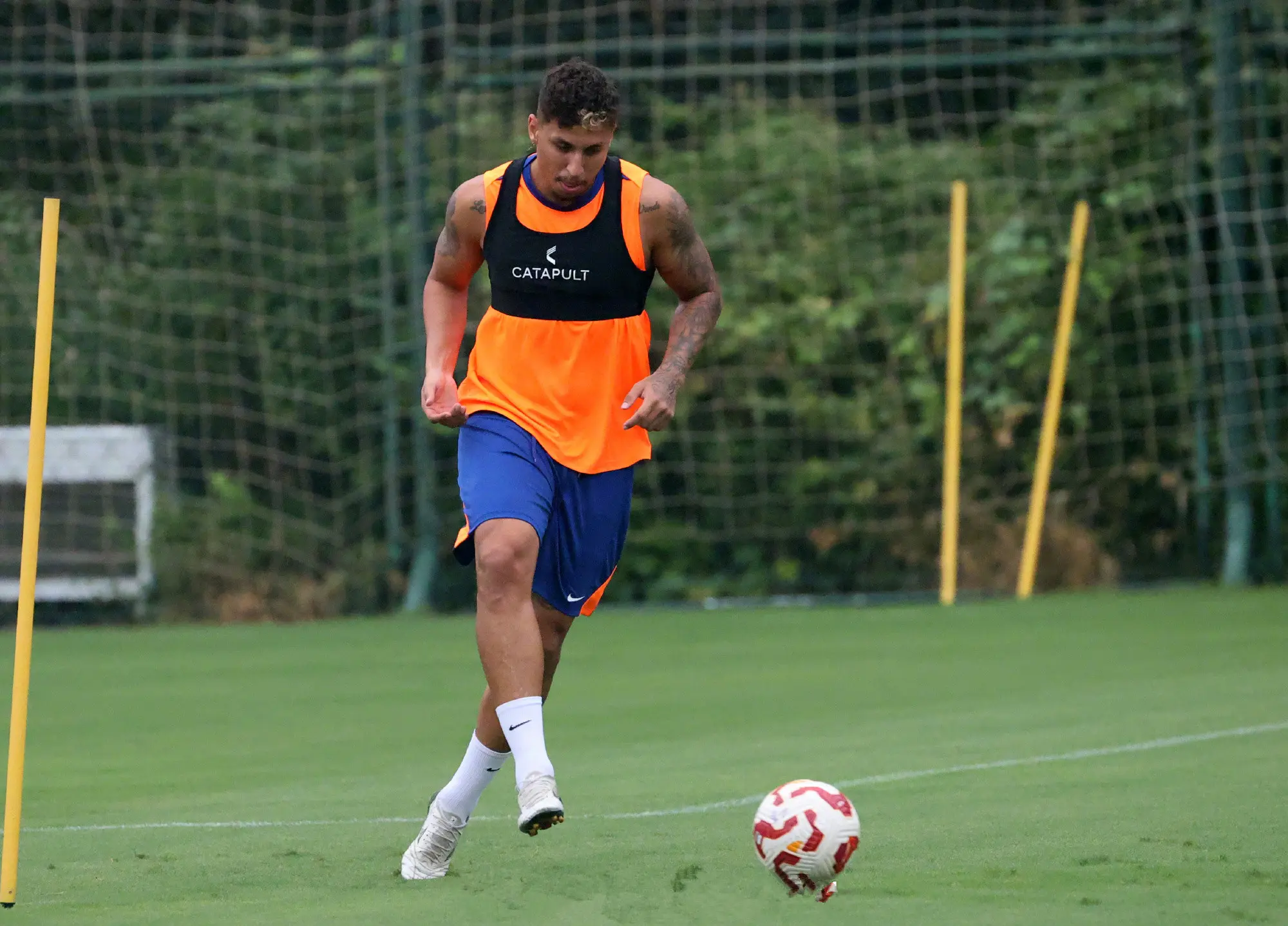 HI, 没有集训安 HI, 没有集训安